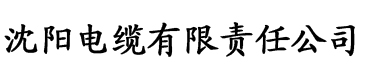 老男人香蕉视频电缆厂logo